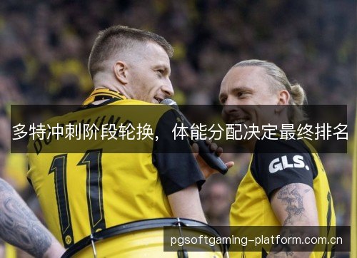 多特冲刺阶段轮换，体能分配决定最终排名